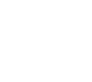 Pearl Collective logo